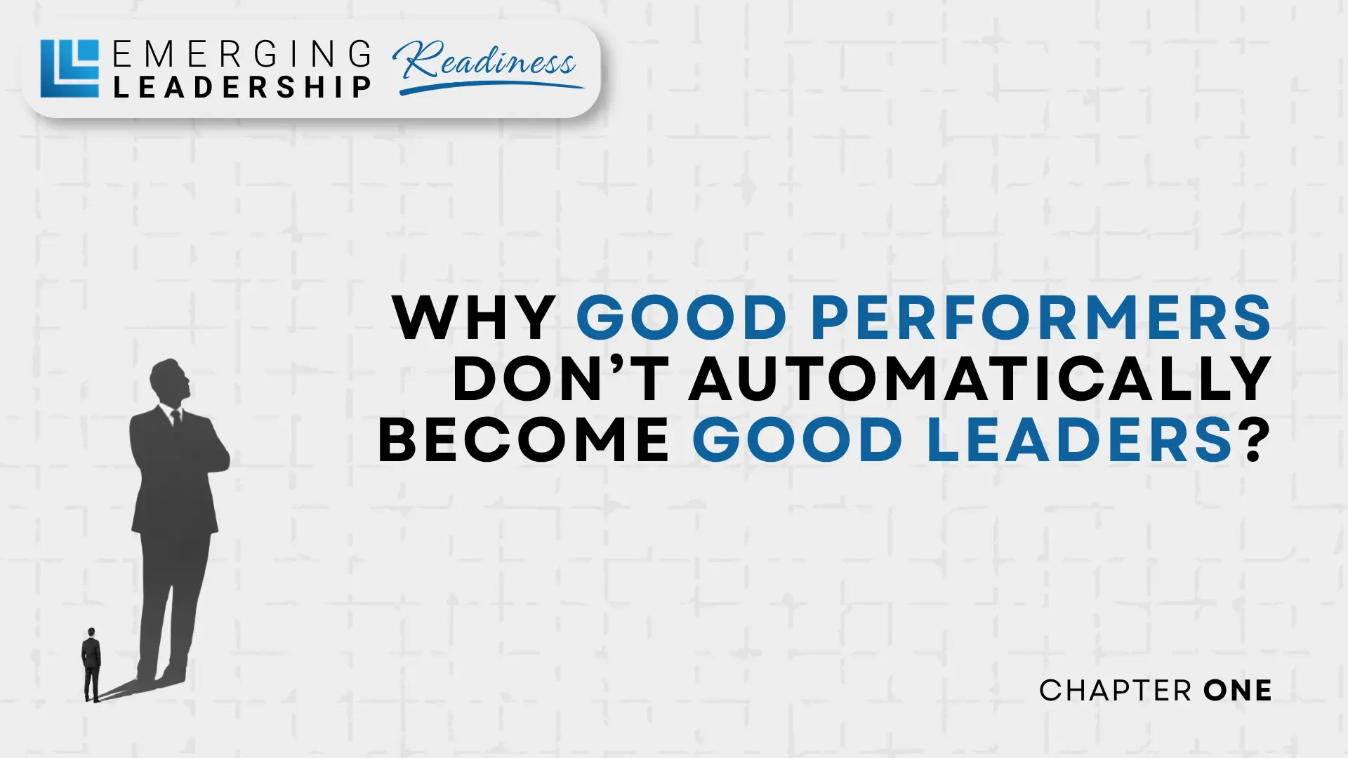 Read more about the article Chapter 1 – Why Good Performers Don’t Automatically Become Good Leaders